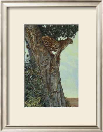 On The Lookout by Kalon Baughan Pricing Limited Edition Print image