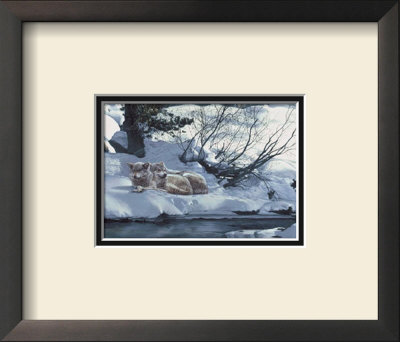 The Good Place, Wolves by Terry Isaac Pricing Limited Edition Print image