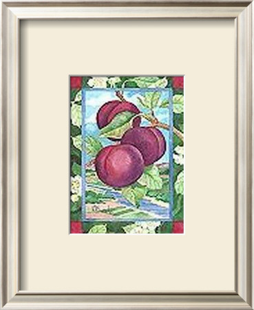 Santa Rosa Plum by Paul Brent Pricing Limited Edition Print image