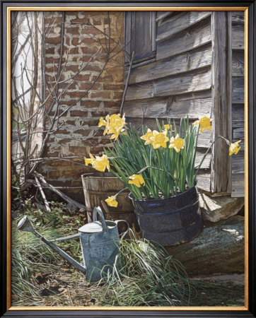 Sunning Daffodils by Phillip Philbeck Pricing Limited Edition Print image