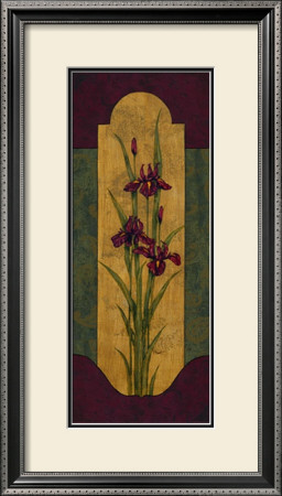 Greek Iris I by Paul Brent Pricing Limited Edition Print image