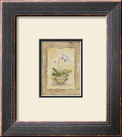Orchid Sanderiana by Peggy Abrams Pricing Limited Edition Print image