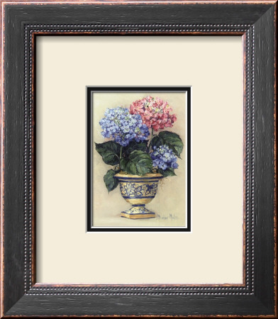 Hydrangea Blooms Ii by Barbara Mock Pricing Limited Edition Print image