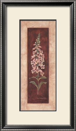 Foxglove by Debra Swartzendruber Pricing Limited Edition Print image