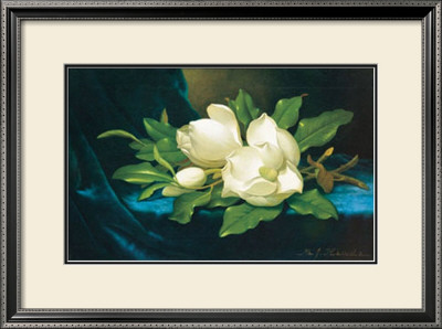 Giant Magnolias On Blue Velvet Cloth by Martin Johnson Heade Pricing Limited Edition Print image