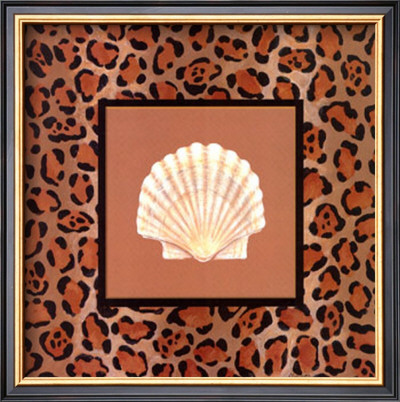 Shell Safari Ii by Barbara Shipman Pricing Limited Edition Print image