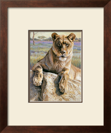 Serengeti Lioness by Kalon Baughan Pricing Limited Edition Print image