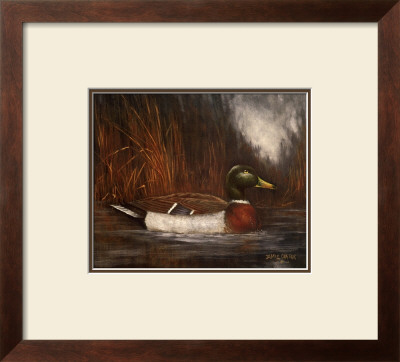 Mallard Duck Study by Jamie Carter Pricing Limited Edition Print image