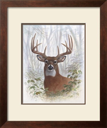 Deer Buck Portrait by Ron Jenkins Pricing Limited Edition Print image