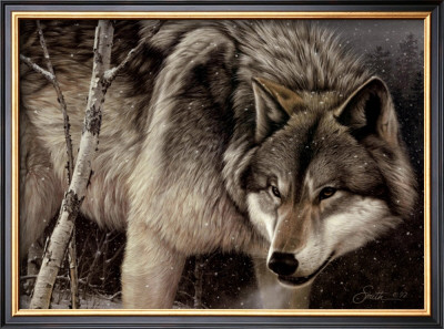Wolf Portrait by Daniel Smith Pricing Limited Edition Print image