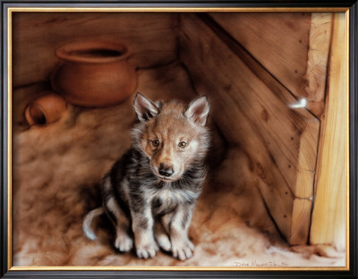 Little Taos Woof by Dave Merrick Pricing Limited Edition Print image