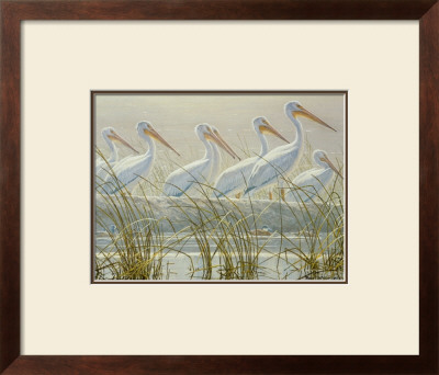 Bounty Of The Wetlands (Detail) by Robert Bateman Pricing Limited Edition Print image