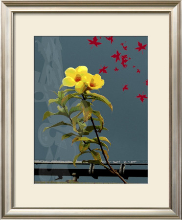 Urban Flower Ii by Miguel Paredes Pricing Limited Edition Print image