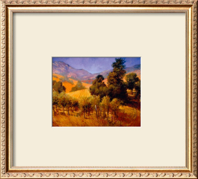 Southern Vineyard Hills by Philip Craig Pricing Limited Edition Print image