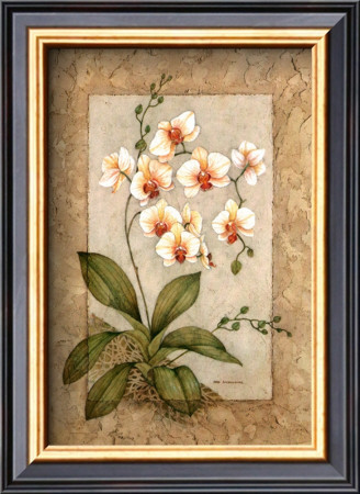 Orchid Fresco I by Debra Swartzendruber Pricing Limited Edition Print image