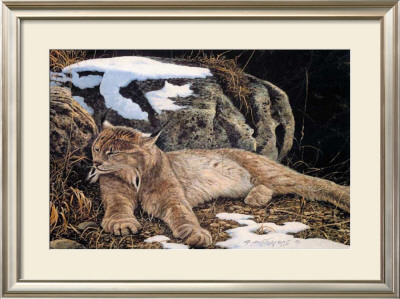 Time To Rest Lynx by Alan Sakhavarz Pricing Limited Edition Print image