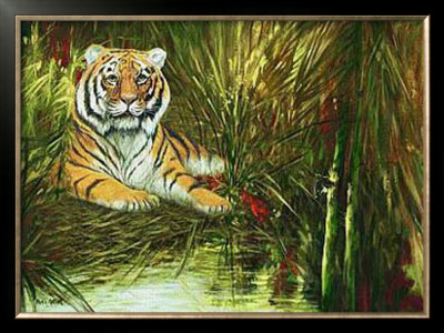 Tiger In Hiding by Jamie Carter Pricing Limited Edition Print image