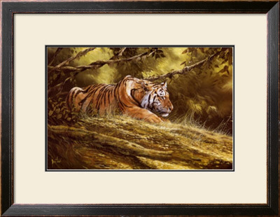 Tiger Resting by Spencer Hodge Pricing Limited Edition Print image