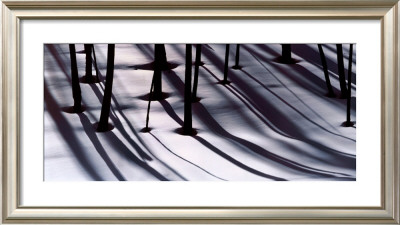 Pine Trees And Morning Shadows by William Neill Pricing Limited Edition Print image