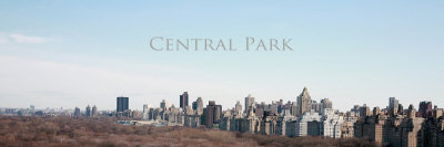 Central Park South, No. 2 by Miguel Paredes Pricing Limited Edition Print image