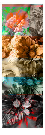Floral Panel Ii by Miguel Paredes Pricing Limited Edition Print image