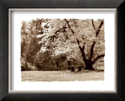 Arboretum Gardens by Steve Leal Pricing Limited Edition Print image