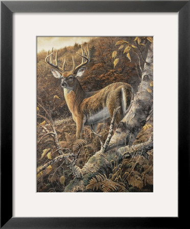 Duke Of Autumn by Duane Geisness Pricing Limited Edition Print image