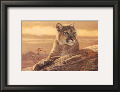 Desert Sunrise by Kalon Baughan Pricing Limited Edition Print image
