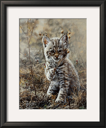 Peek A Boo by Terry Isaac Pricing Limited Edition Print image