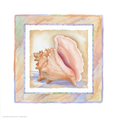 Bordered Shell-Queen Conch by Paul Brent Pricing Limited Edition Print image
