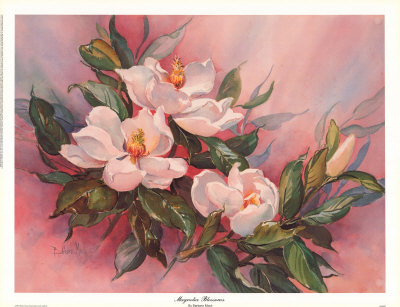 Magnolia Blossoms by Barbara Mock Pricing Limited Edition Print image