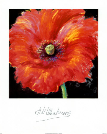 Red Poppy by Nel Whatmore Pricing Limited Edition Print image