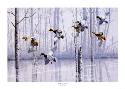 Misty Morning Mallards by Michael Bargelski Pricing Limited Edition Print image