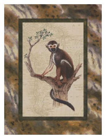 Squirrel Monkey by Janet Kruskamp Pricing Limited Edition Print image