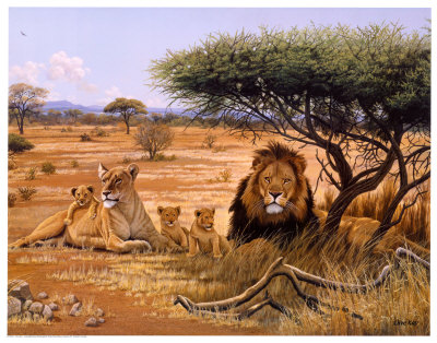 Lion Familly by Clive Kay Pricing Limited Edition Print image