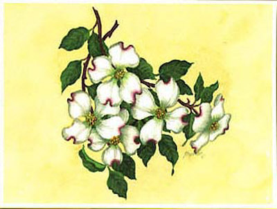 Spring Dogwood Ii by Barbara Shipman Pricing Limited Edition Print image