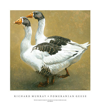 Pomeranian Geese by Richard Murray Pricing Limited Edition Print image