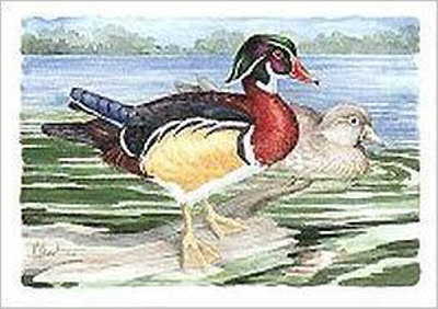 Wood Ducks by Paul Brent Pricing Limited Edition Print image