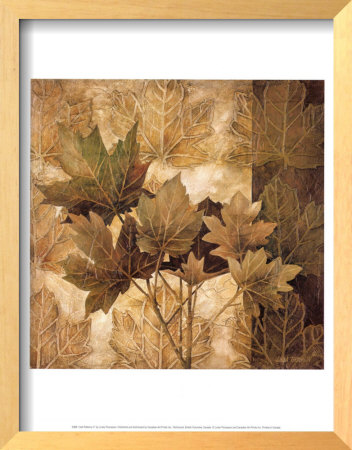 Leaf Patterns Ii by Linda Thompson Pricing Limited Edition Print image