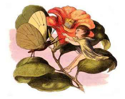 Butterfly Dance by Richard Doyle Pricing Limited Edition Print image
