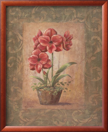 Wanda's Amaryllis I by Vivian Flasch Pricing Limited Edition Print image