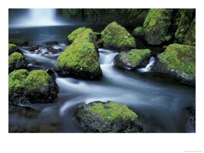 Water Below Wahclella Falls, Columbia River Gorge National Scenic Area, Oregon, Usa by Adam Jones Pricing Limited Edition Print image