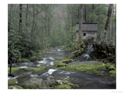 Tub Mill Along Roaring Fork, Great Smoky Mountains National Park, Tennessee, Usa by Adam Jones Pricing Limited Edition Print image