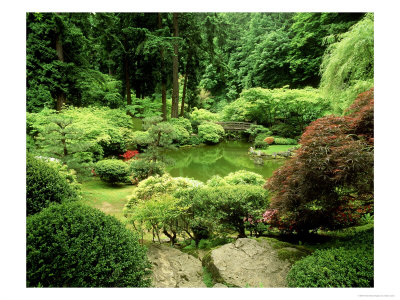 Pond Garden, Japanese Garden Portland Usa by Adam Jones Pricing Limited Edition Print image