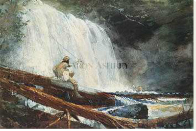 Waterfall In The Adirondacks by Winslow Homer Pricing Limited Edition Print image