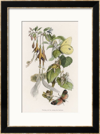 Feasting And Fun Among The Fuchsias, Fairies And Elves Are Visited By Butterflies by Richard Doyle Pricing Limited Edition Print image