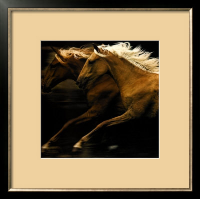 The Dance by Tony Stromberg Pricing Limited Edition Print image