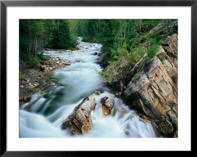 Crystal River, Gunnison National Forest, Colorado, Usa by Adam Jones Pricing Limited Edition Print image