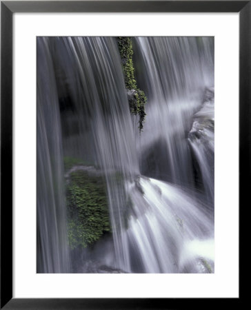 Roaring Fork, Motor Nature Trail, Great Smoky Mountains National Park, Tennessee, Usa by Adam Jones Pricing Limited Edition Print image