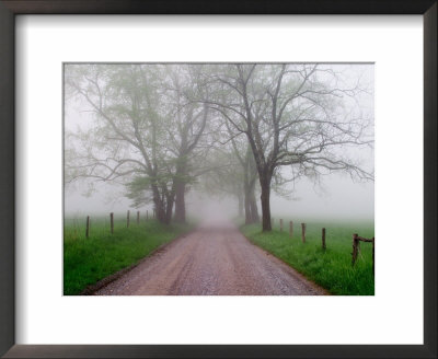 Sparks Lane On Foggy Morning, Cades Cove, Great Smoky Mountains National Park, Tennessee, Usa by Adam Jones Pricing Limited Edition Print image